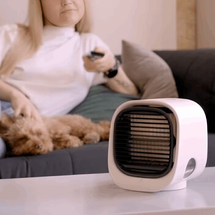 AiraBreeze Portable Cooler customer~Cloe A. – Illinois, USA